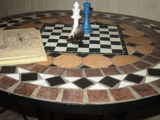 El ajedrez y la mariposa