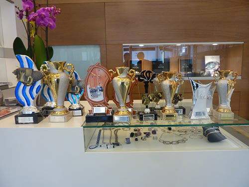 Trofeos Sub 14 a Sub 8